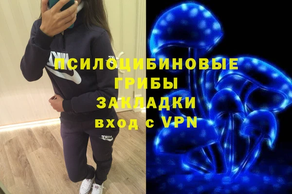 трава Алзамай