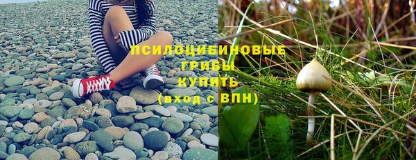 наркотики Алексеевка