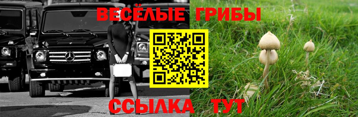 Галлюциногенные грибы ЛСД Люберцы
