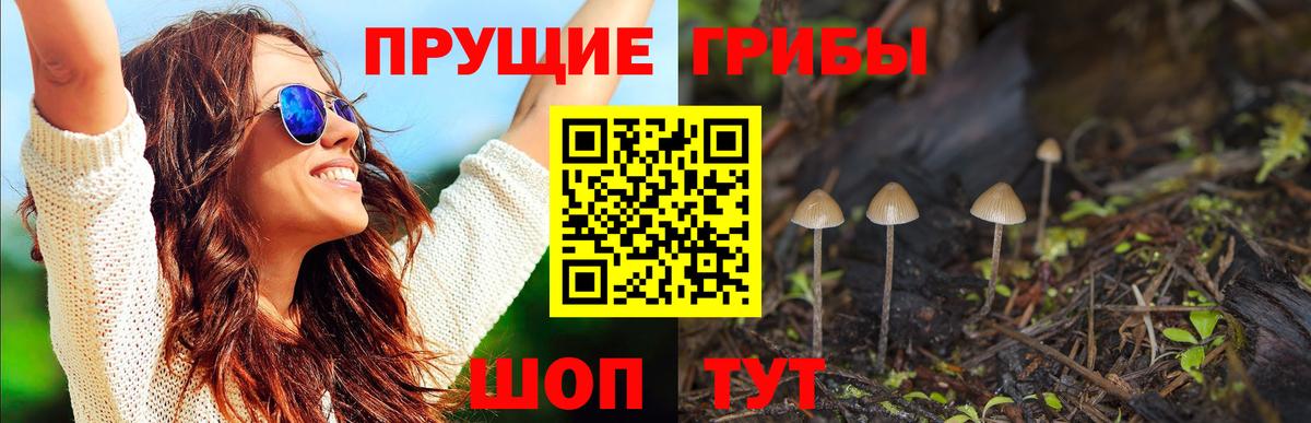 Галлюциногенные грибы Psilocybine cubensis  Псилоцибиновые грибы MAGIC MUSHROOMS  Люберцы  Вход с VPN 